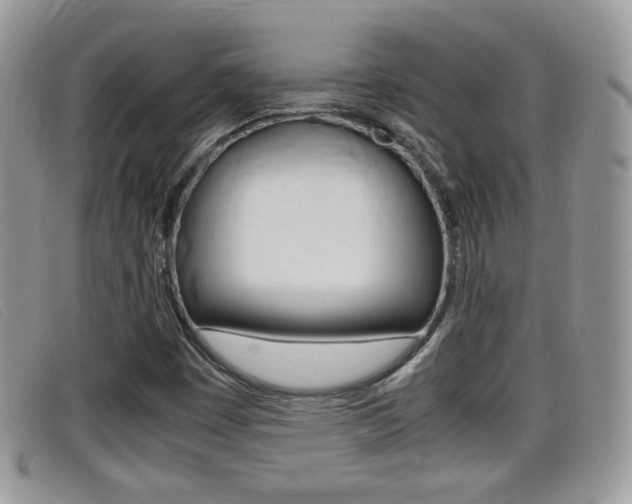 X0000099431449200805090716