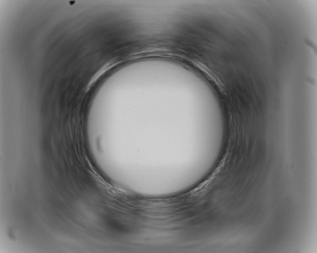 X0000099431450200805090716