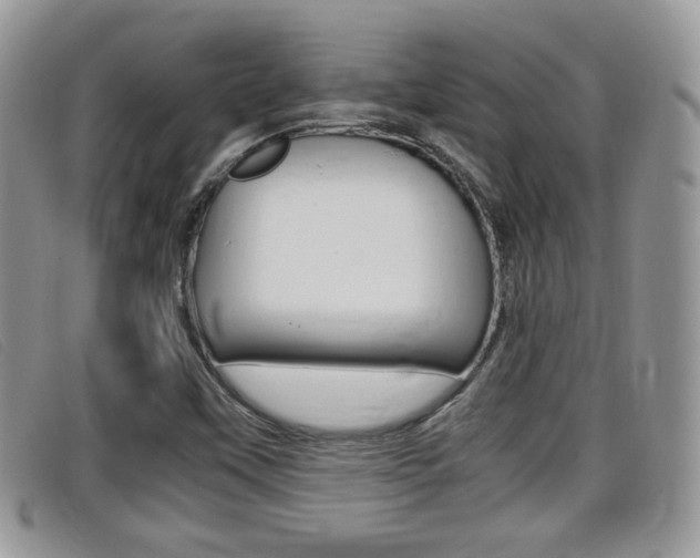 X0000099431451200805090716