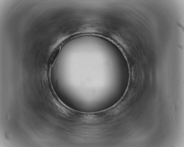 X0000099431452200805090716