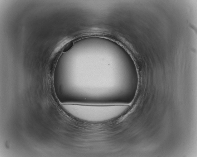 X0000099431453200805090716