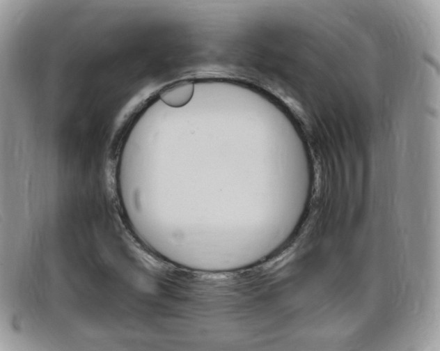 X0000099431454200805090716