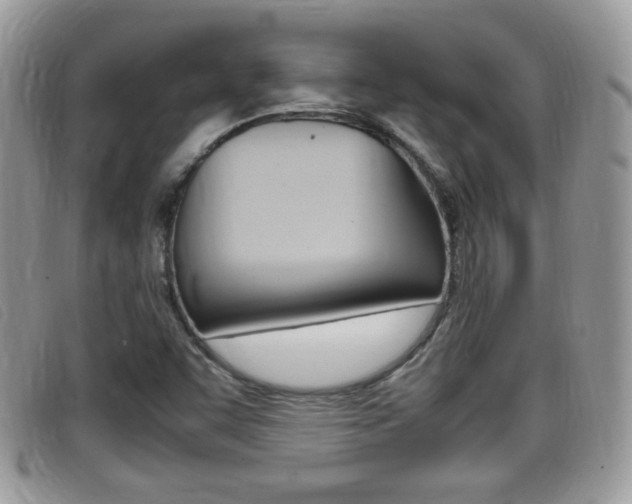 X0000099431455200805090716