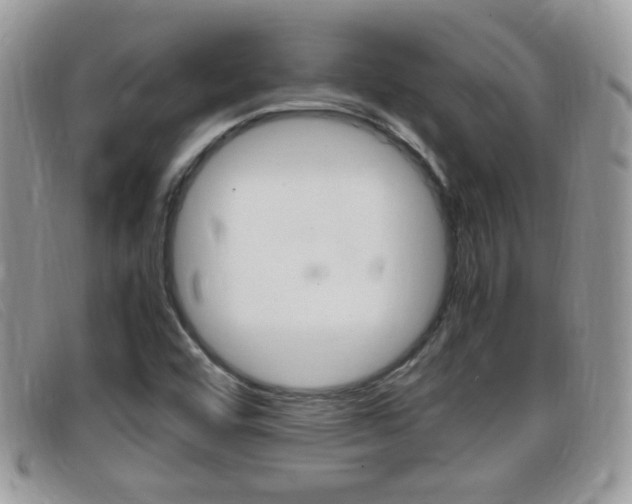 X0000099431456200805090716