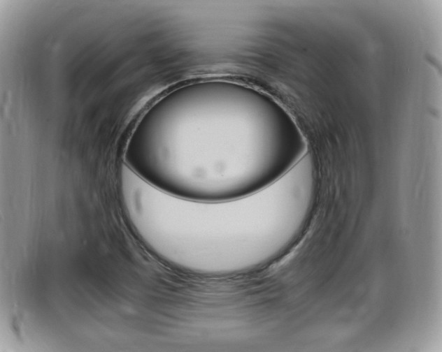 X0000099431457200805090716