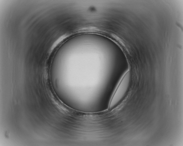 X0000099431458200805090716