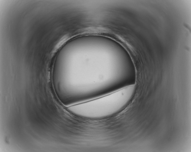 X0000099431459200805090716