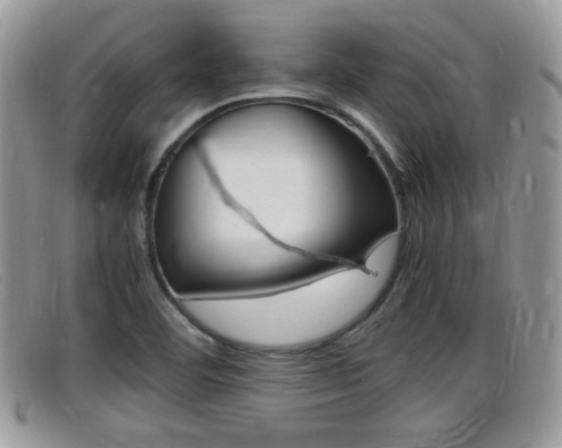 X0000099431460200805090716