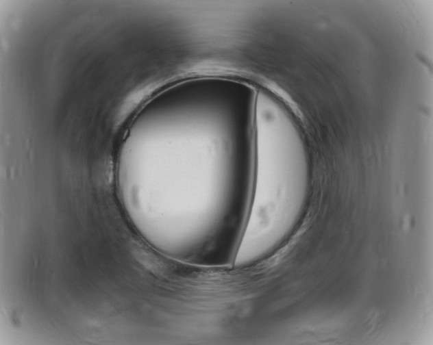 X0000099431461200805090716