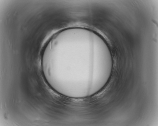 X0000099431462200805090716