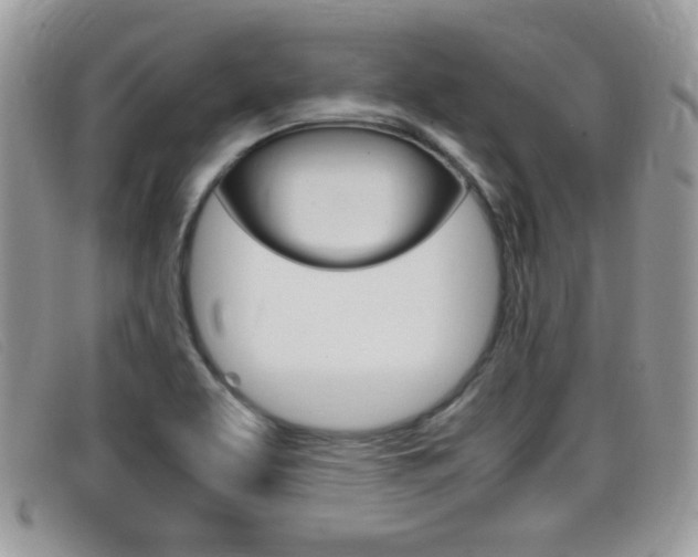 X0000099431463200805090716