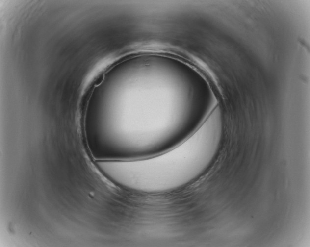 X0000099431464200805090716
