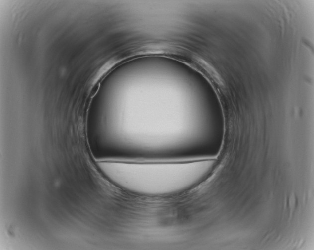 X0000099431465200805090716