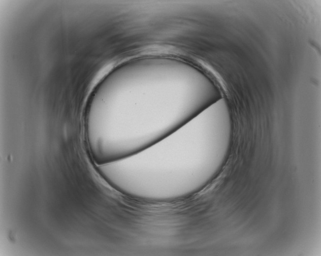 X0000099431467200805090716