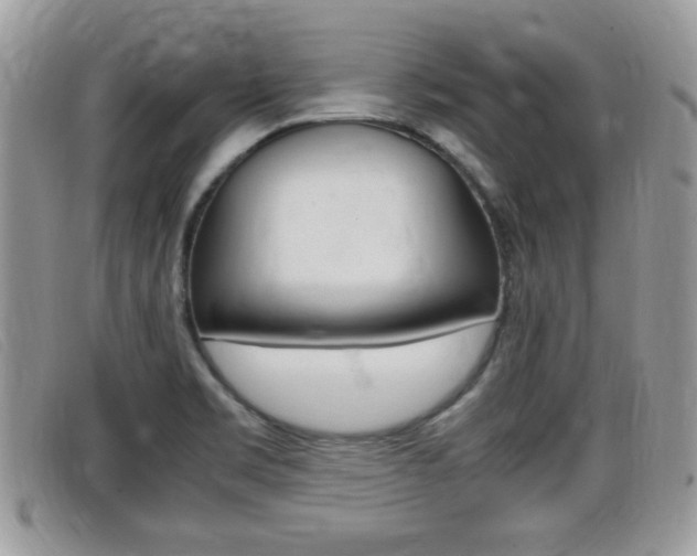 X0000099431469200805090716