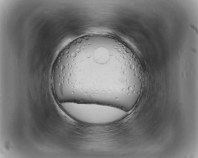X0000099431471200805090716