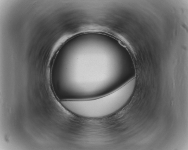 X0000099431472200805090716