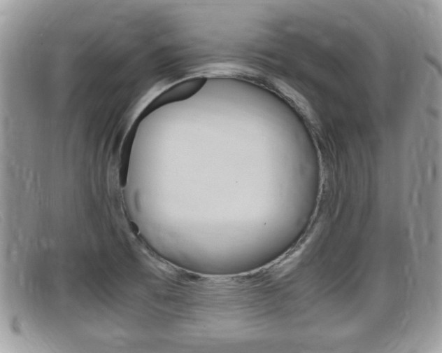 X0000099431473200805090716