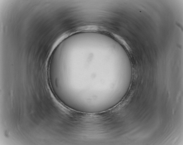 X0000099431475200805090716