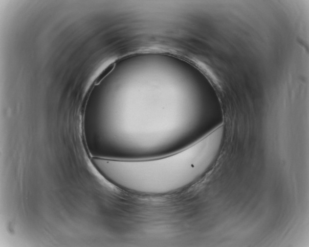X0000099431476200805090716