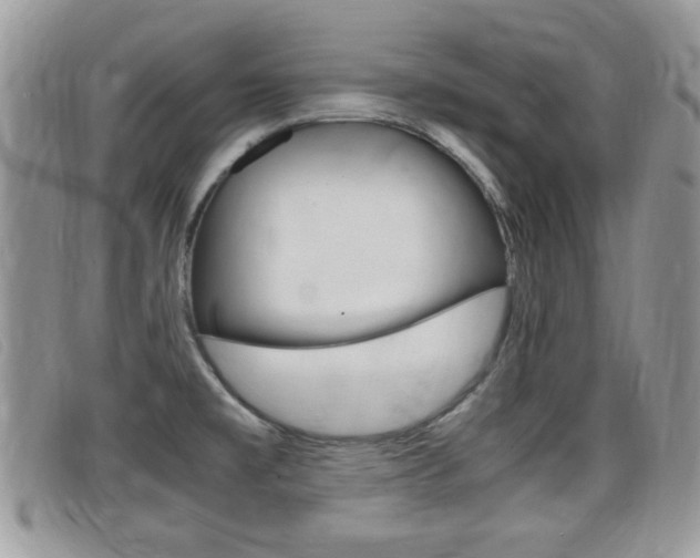 X0000099431477200805090716