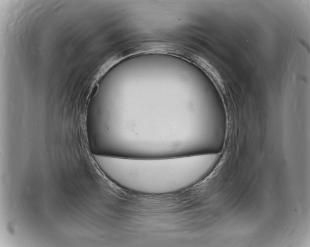 X0000099431481200805090716
