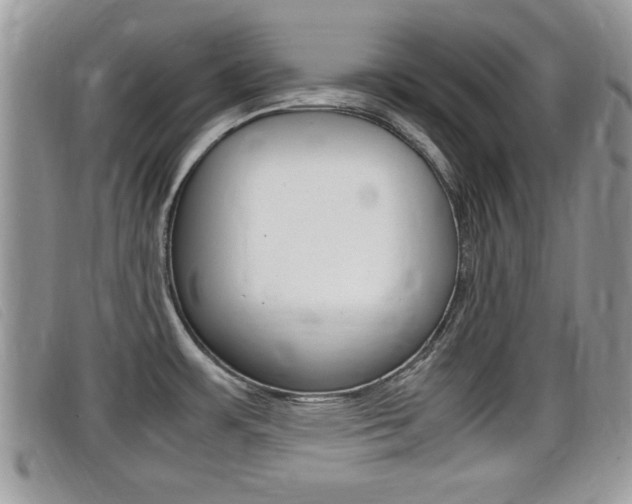X0000099431483200805090716