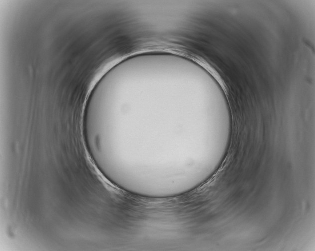X0000099431485200805090716