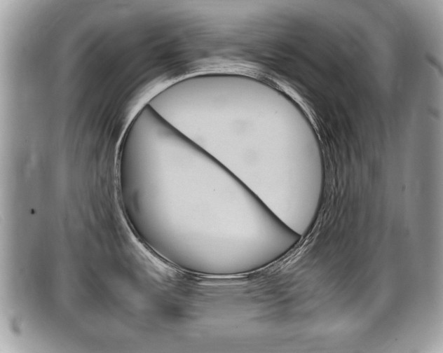 X0000099431487200805090716