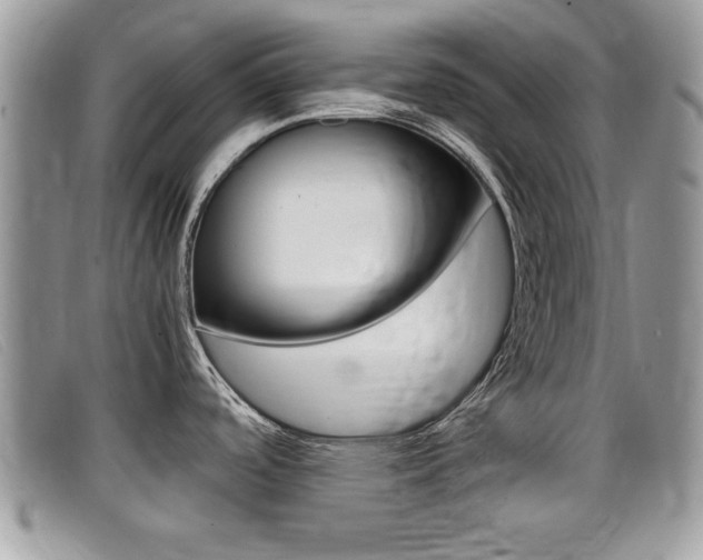 X0000099431488200805090716