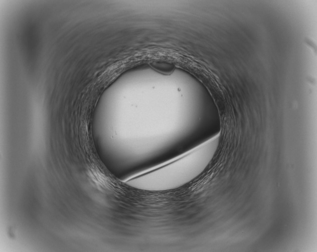 X0000099431489200805090715