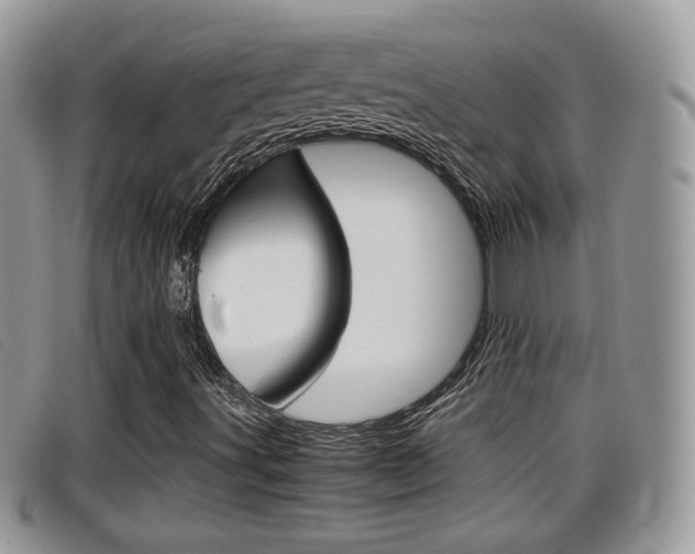 X0000099431491200805090715