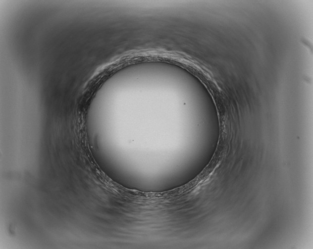 X0000099431494200805090715