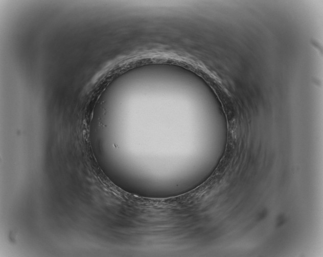 X0000099431495200805090715