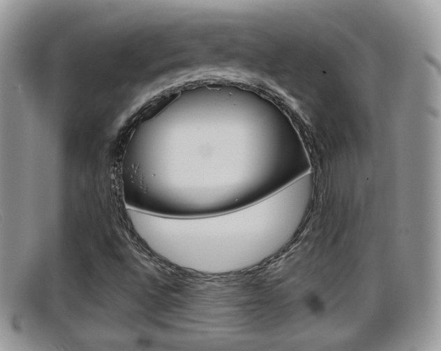 X0000099431496200805090715