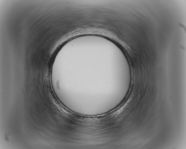 X0000099431498200805090715