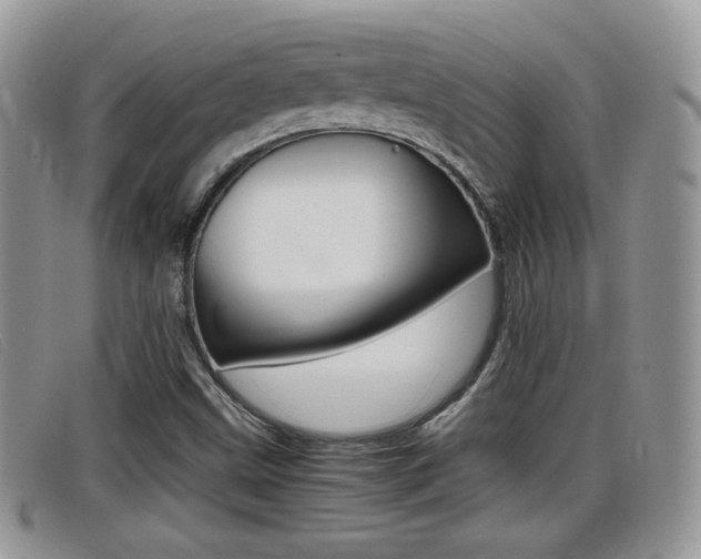 X0000099431499200805090715