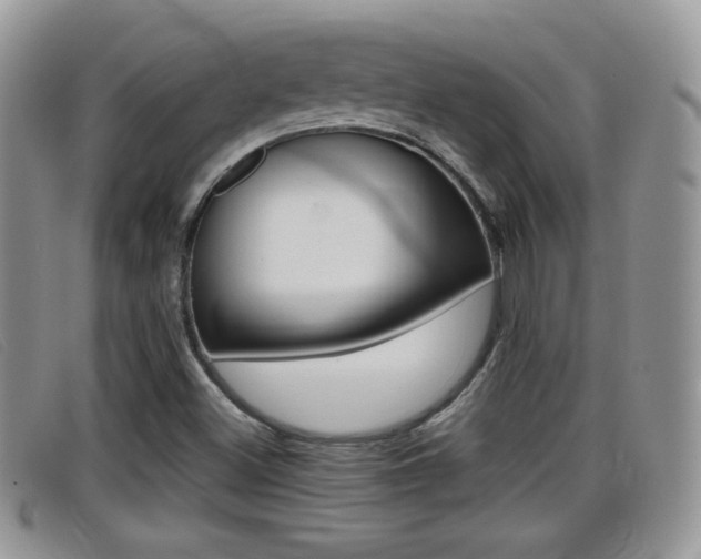 X0000099431500200805090715