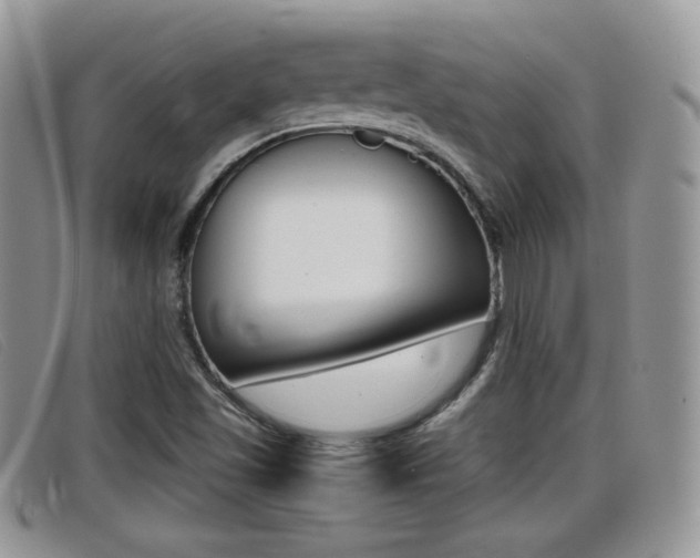X0000099431501200805090715