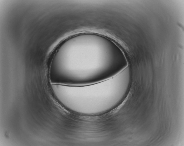 X0000099431502200805090715