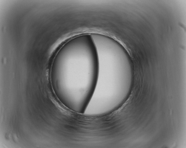 X0000099431503200805090715