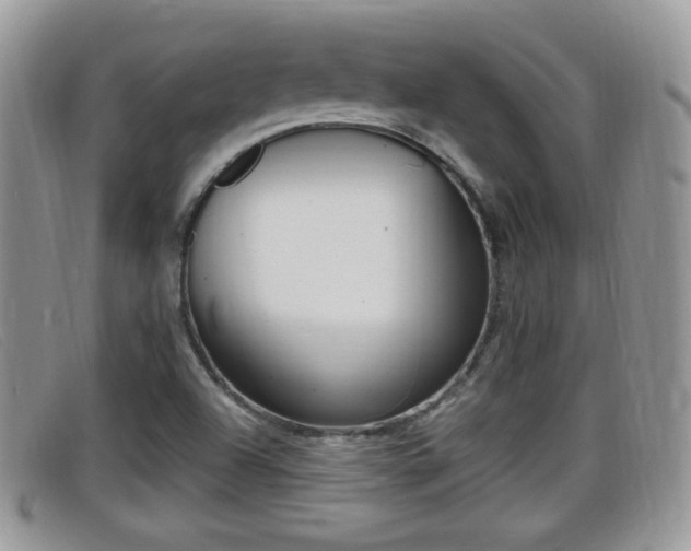 X0000099431504200805090715
