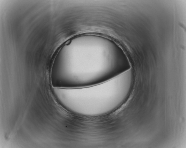 X0000099431505200805090716