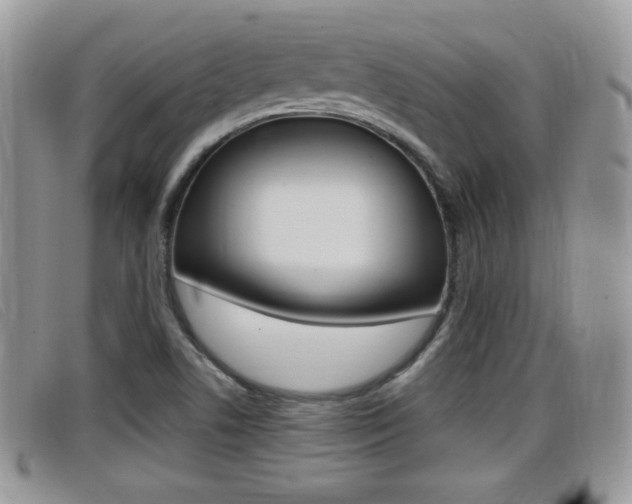 X0000099431506200805090716