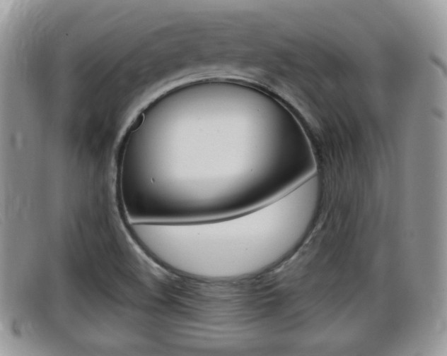 X0000099431508200805090716