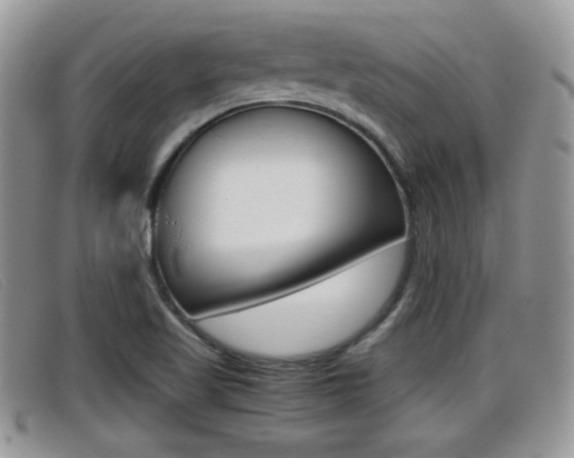 X0000099431509200805090716