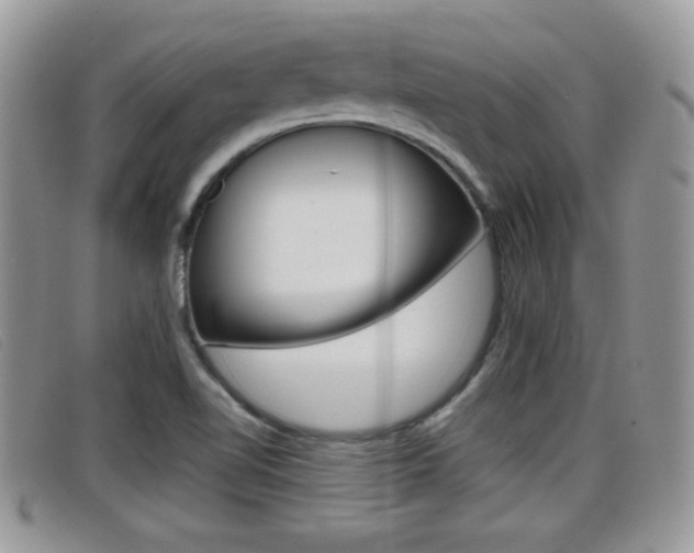 X0000099431510200805090716