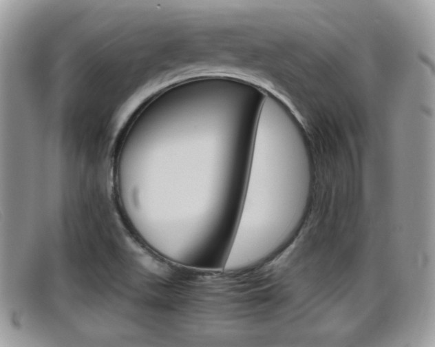X0000099431511200805090716