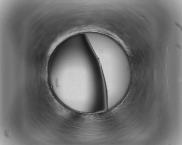 X0000099431512200805090716