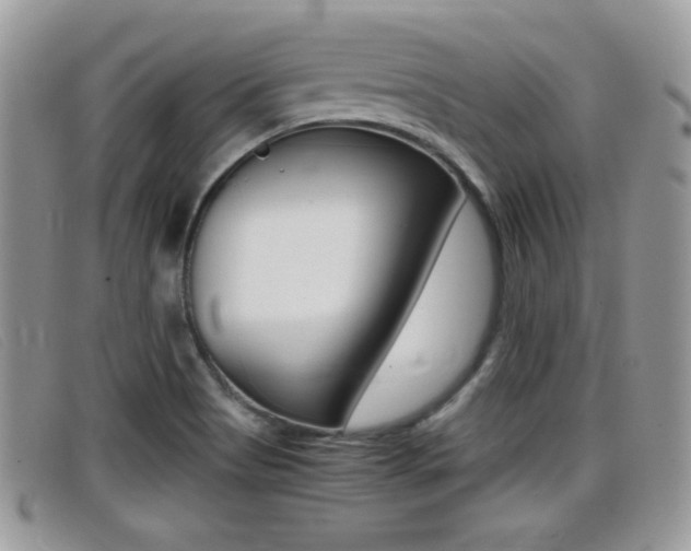X0000099431513200805090716